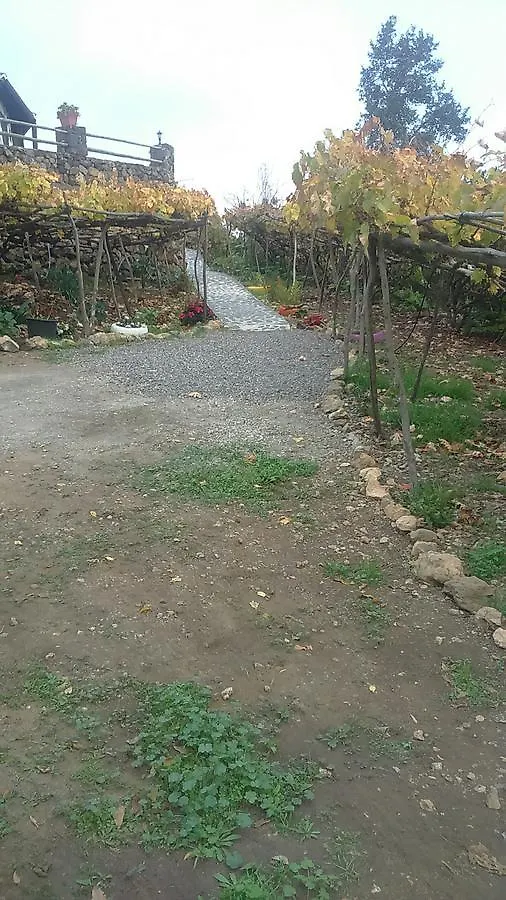 Casa Canaria La Moncloa Villa Icod De Los Vinos España